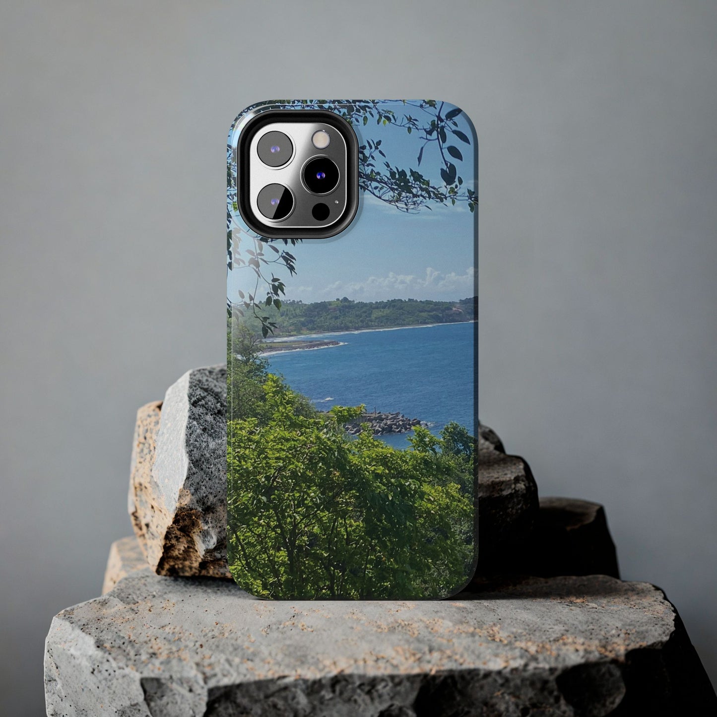 Ocean View Phone Cases - Durable Protection for Nature Lovers