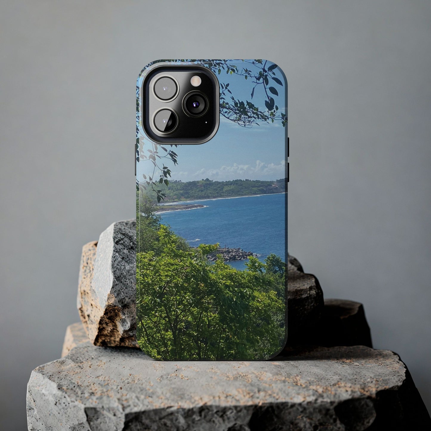 Ocean View Phone Cases - Durable Protection for Nature Lovers