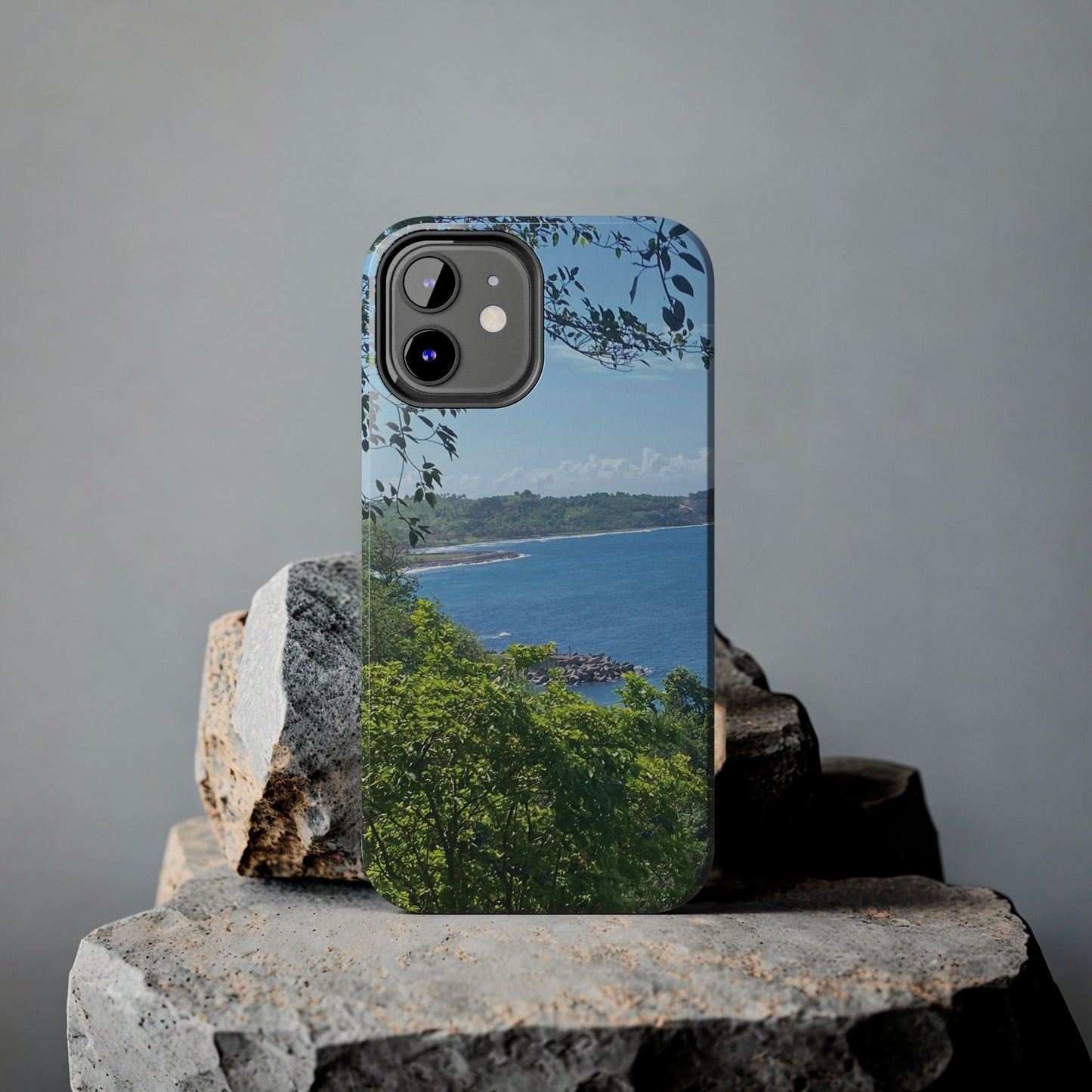 Ocean View Phone Cases - Durable Protection for Nature Lovers
